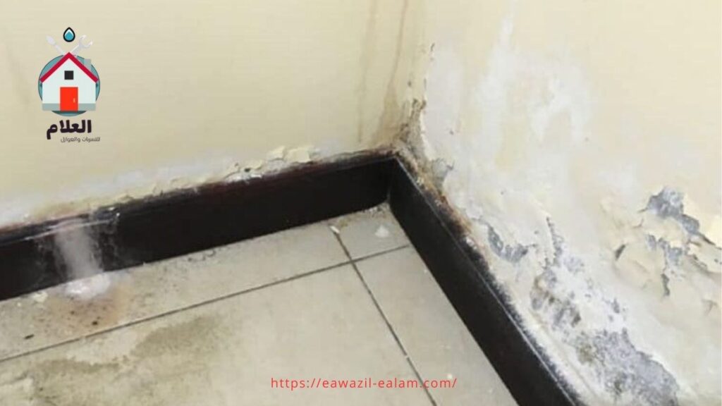 إجراءات الكشف المبكر عن التسربات الخفية