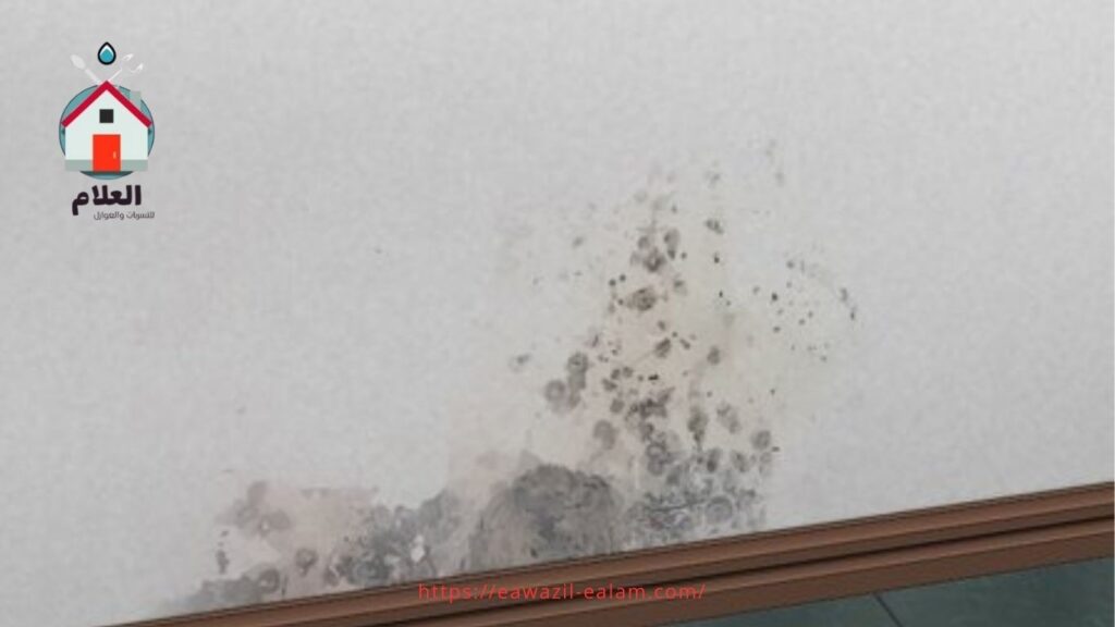 الفرق الأساسي بين التسربات الظاهرة والخفية