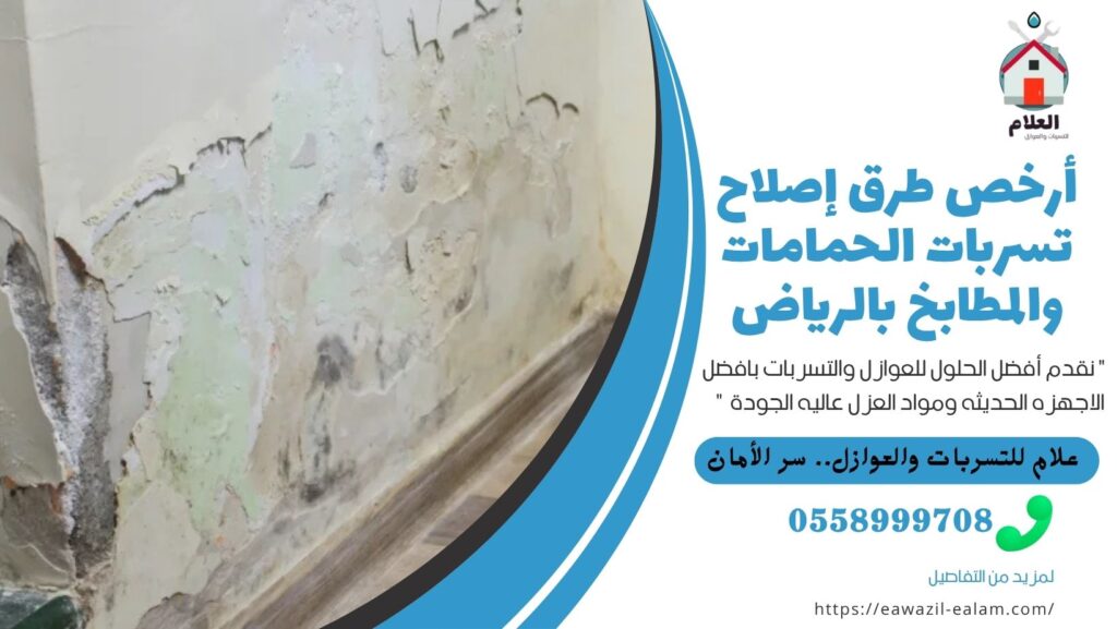 تسربات الحمامات والمطابخ بالرياض